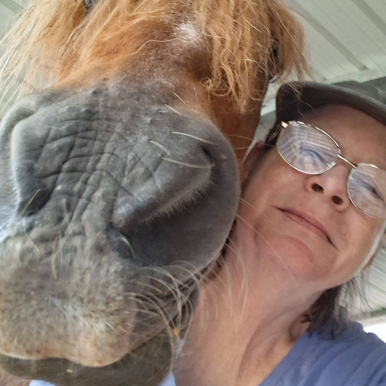 Beanie and Bricky enjoying the windy pre storm morning They're Riding ...