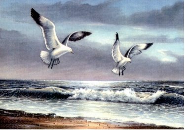 Jonathan Livingston Seagull
