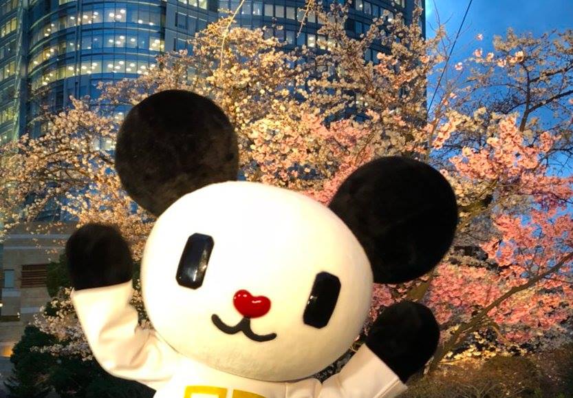 Go Chan - ซากุระบานสวยมากเลยวี!!...