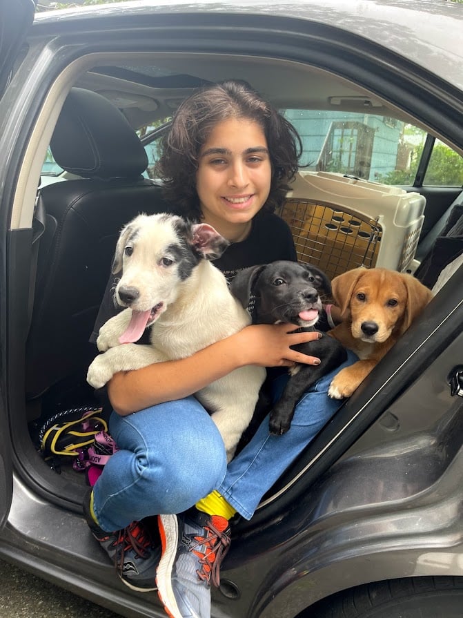My Fosters