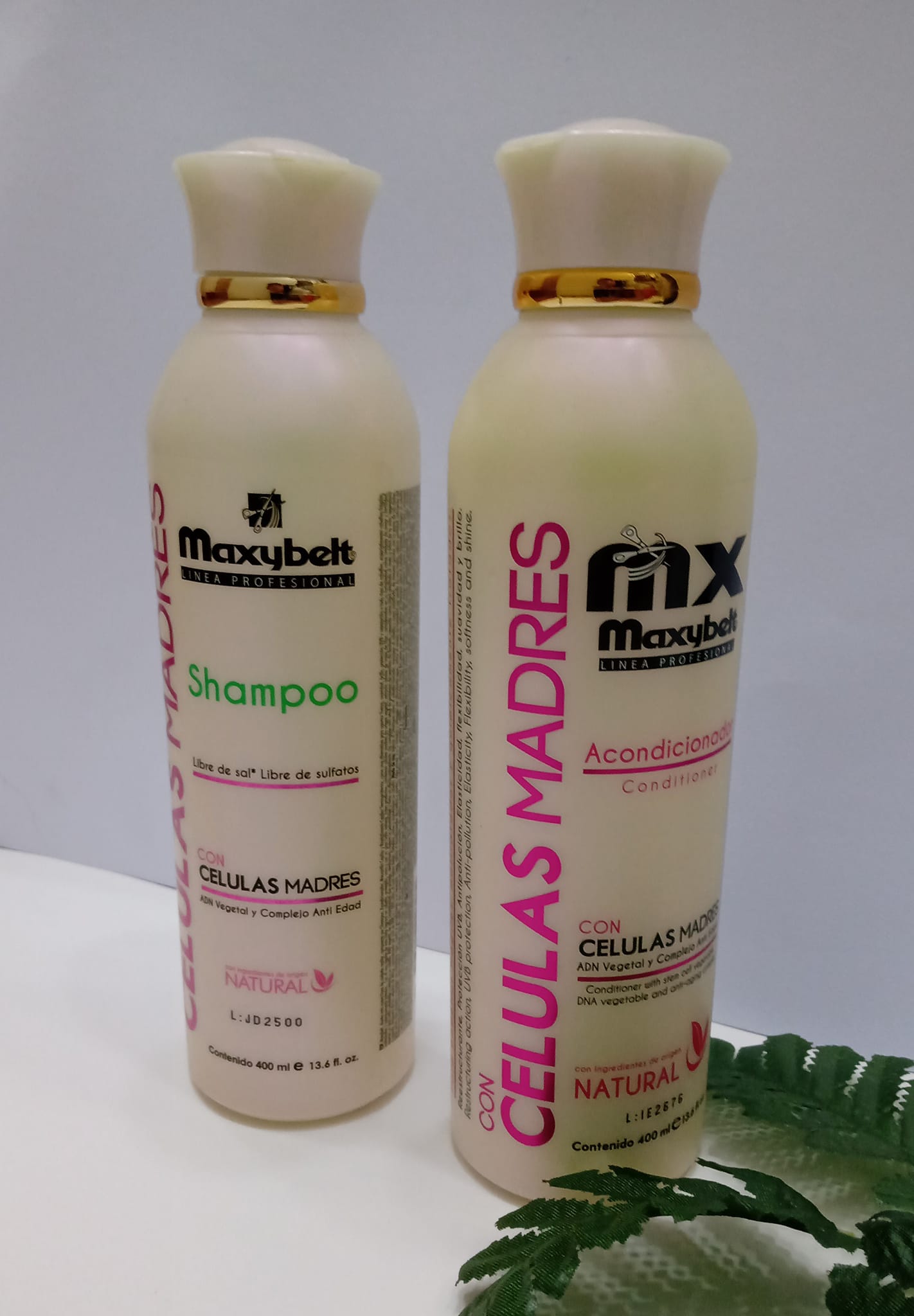 Sedab - 💮 Shampoo y Acondicionador con Células Madres de...