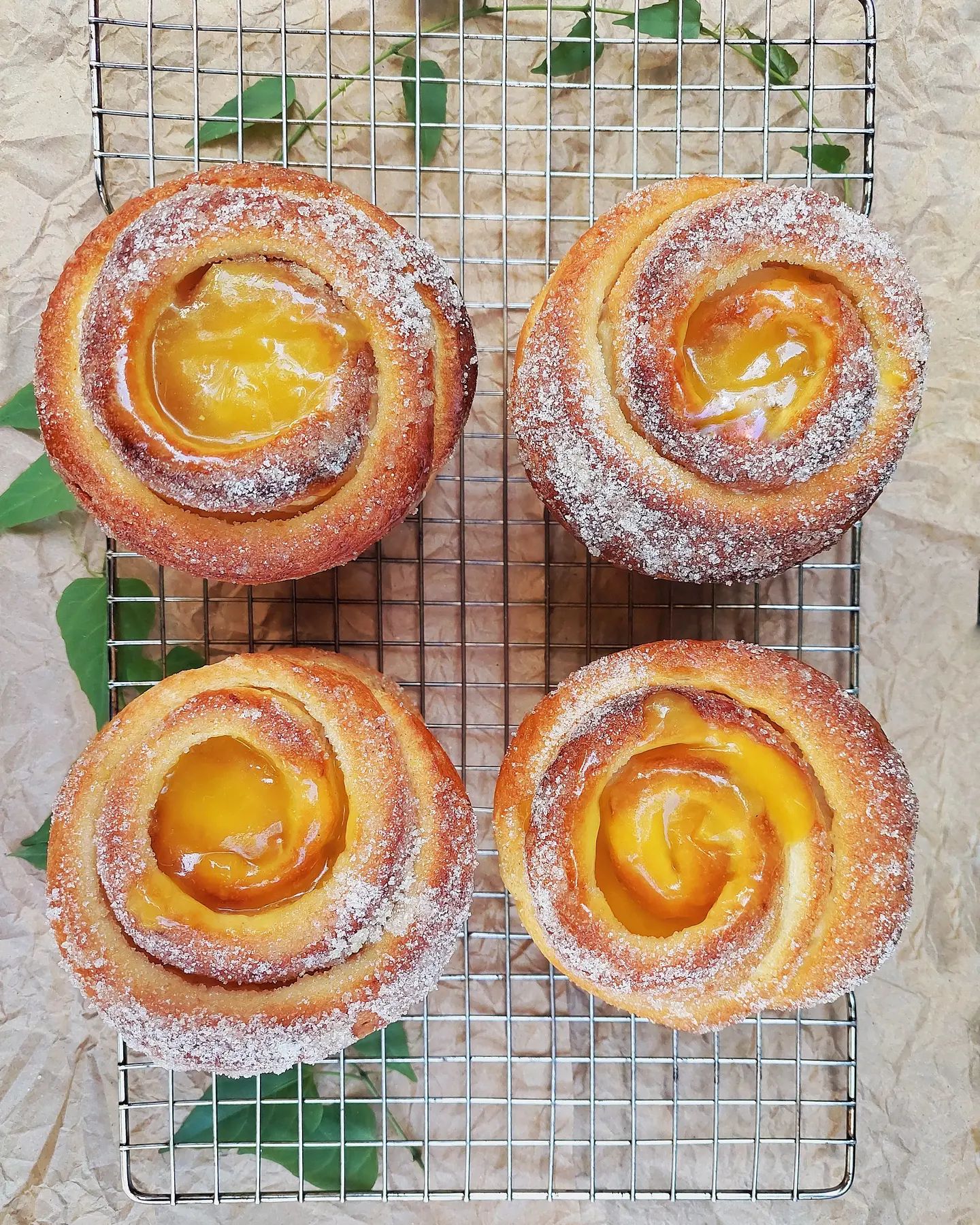 Los deliciosos roles pan de muerto... - La casa del Roll