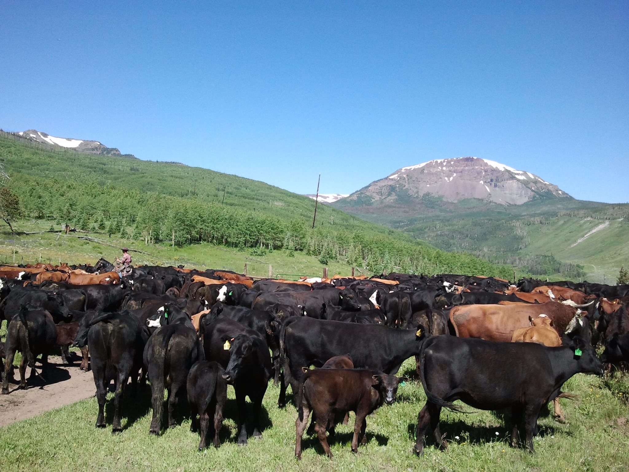 3T Ranch | Upton WY