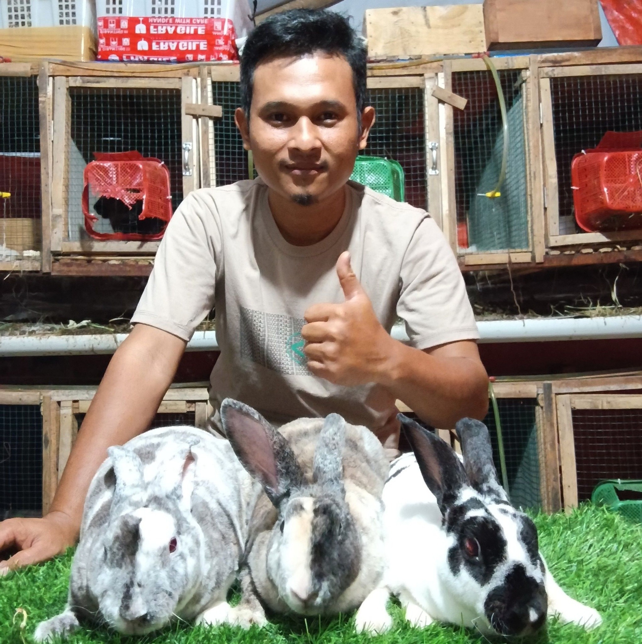 😍 Letting rabbits run free 🐰 #rabbit #bunny #animal #fyp | Adam Bae