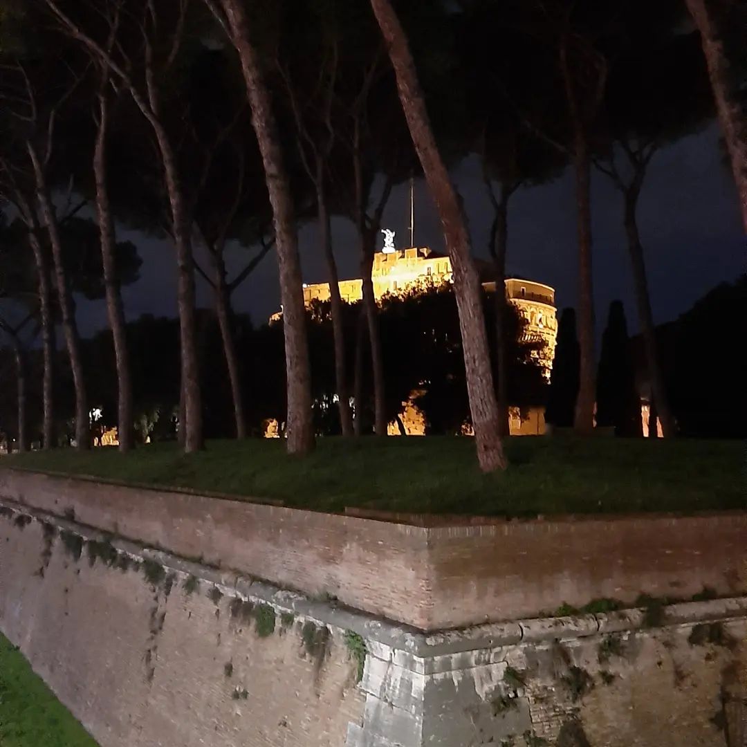 Assunta Domus Roma - Elegant Suite | Rome