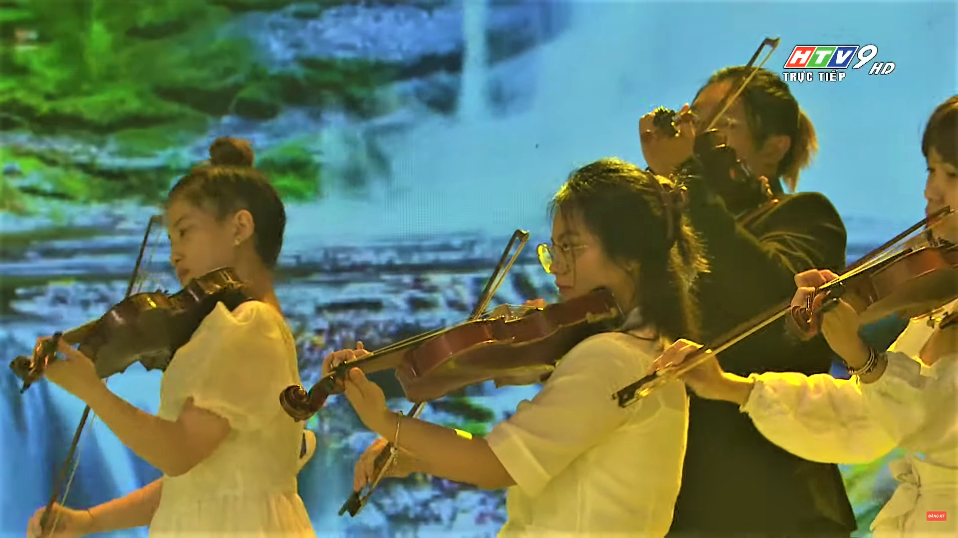 #tarkan #dudu #event #network #violine | Julia Amirova