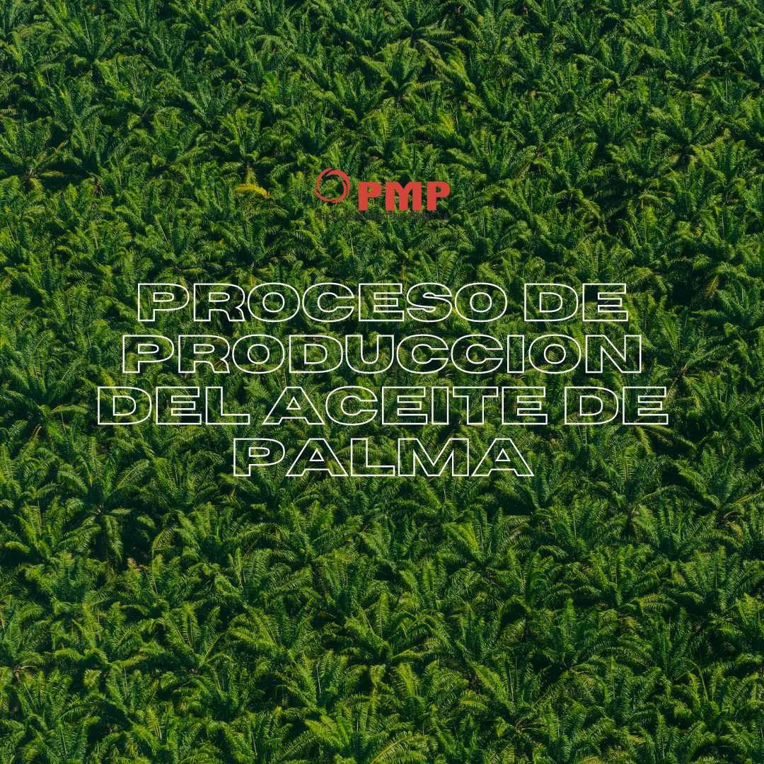 pmp.sa - La cadena de producción del aceite de palma se...
