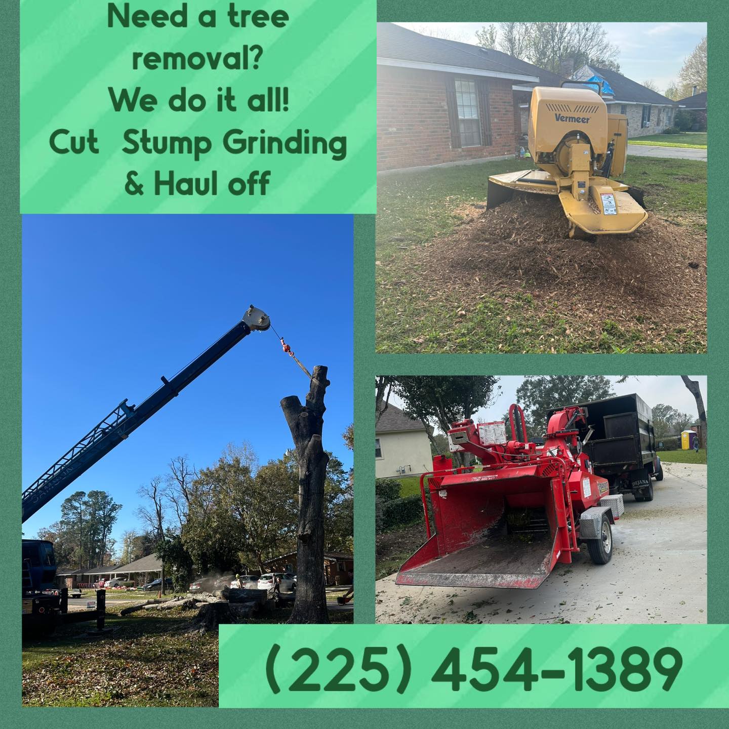Garden Of Eden Tree Service