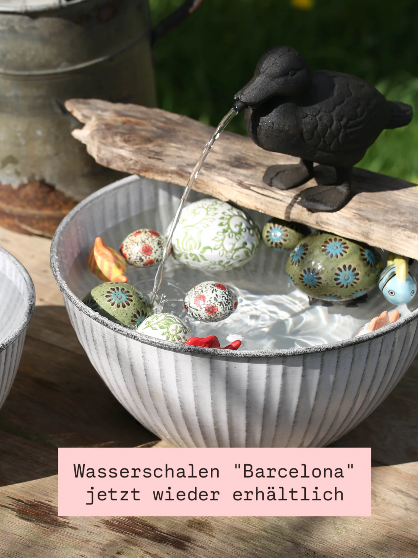 Endlich wieder da! 💖 Unsere Schalen 