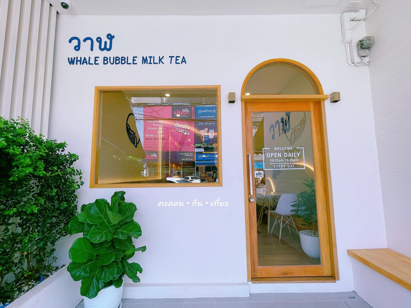 Talon Kin Tiew - 📌 วาฬ Cafe 🏡 🐳 คาเฟ่น้องปลาวาฬ... | Facebook