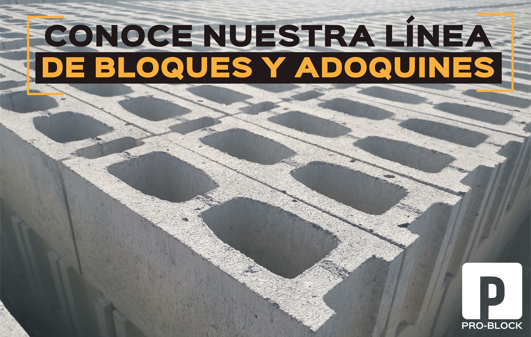 Pro-Block - 🔹🔵Conoce nuestra línea de bloques y adoquines...