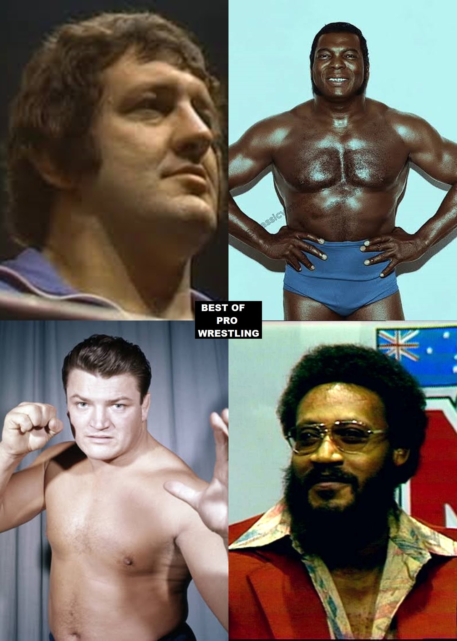 Which ONE of these 1970's Wrestling legends did you enjoy watching