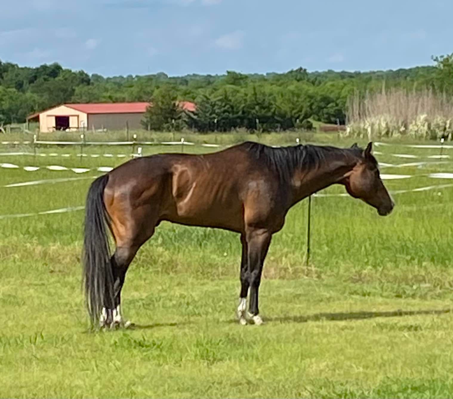 Triple R Horse Ranch
