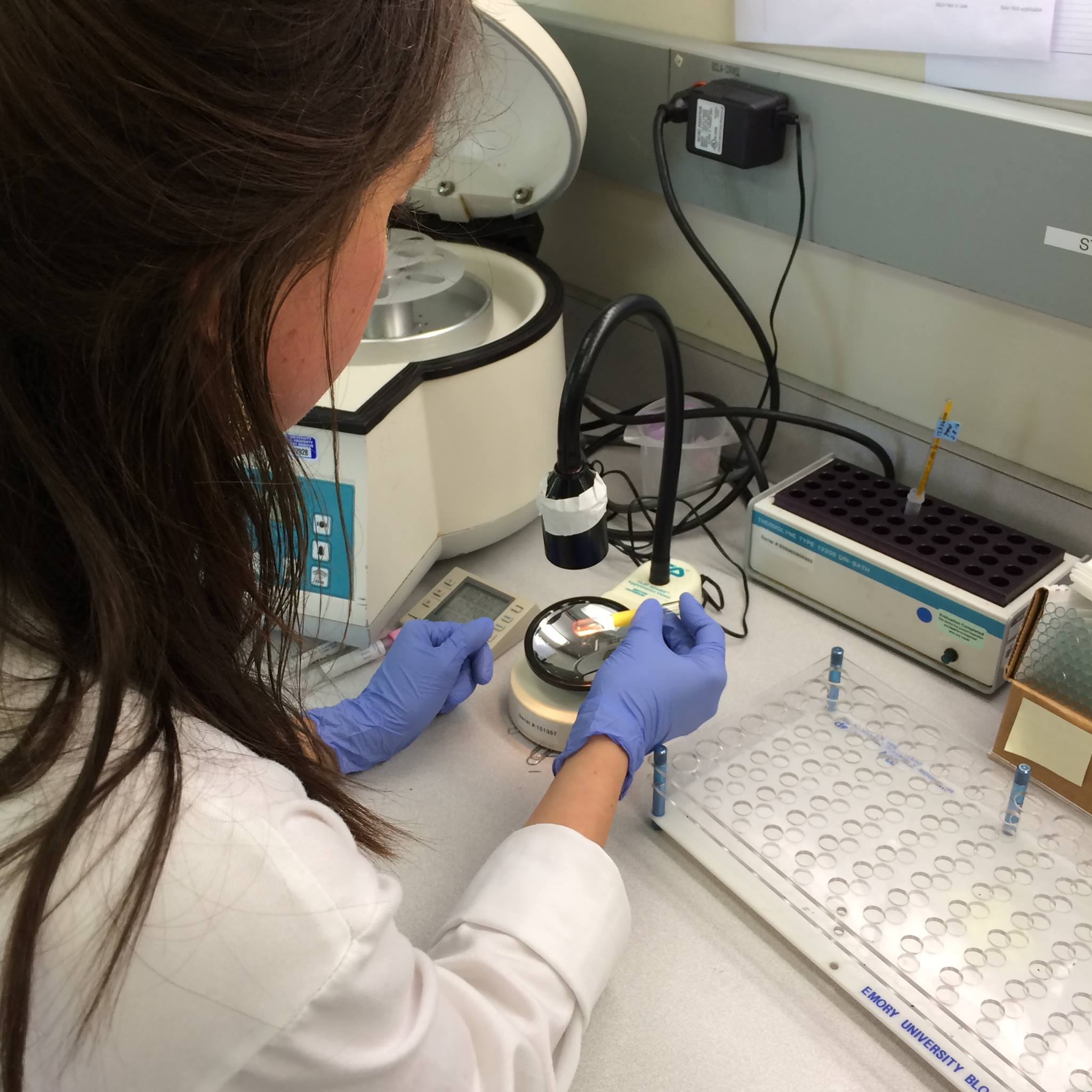 The current PGY-2's on Transfusion Medicine typed and screened their ...