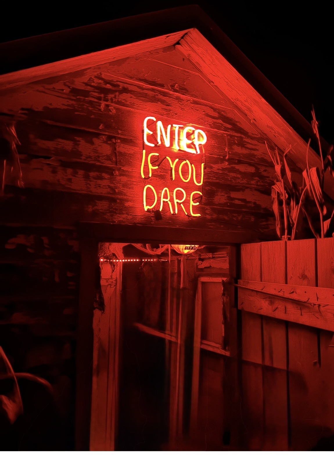 LIGHTED CORN MAZE