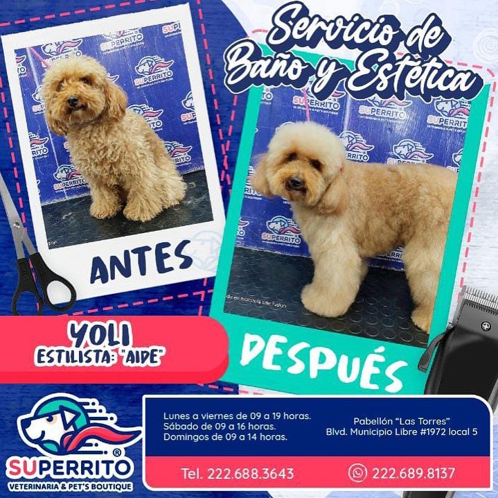 Superrito - Les presentamos el antes y después de estos...