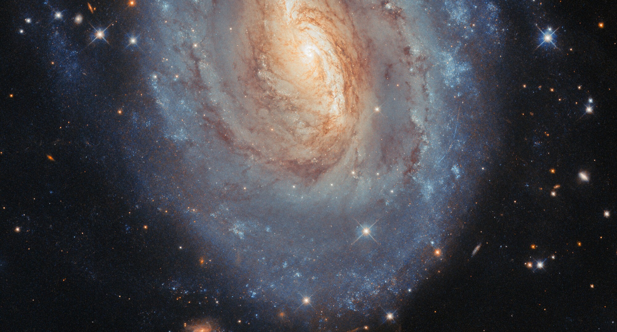 Kelly's Eye - Hubble Bubble エクスペリメンタル Kelly's Eye - Hubble Bubble エクスペリメンタル Kelly's Eye