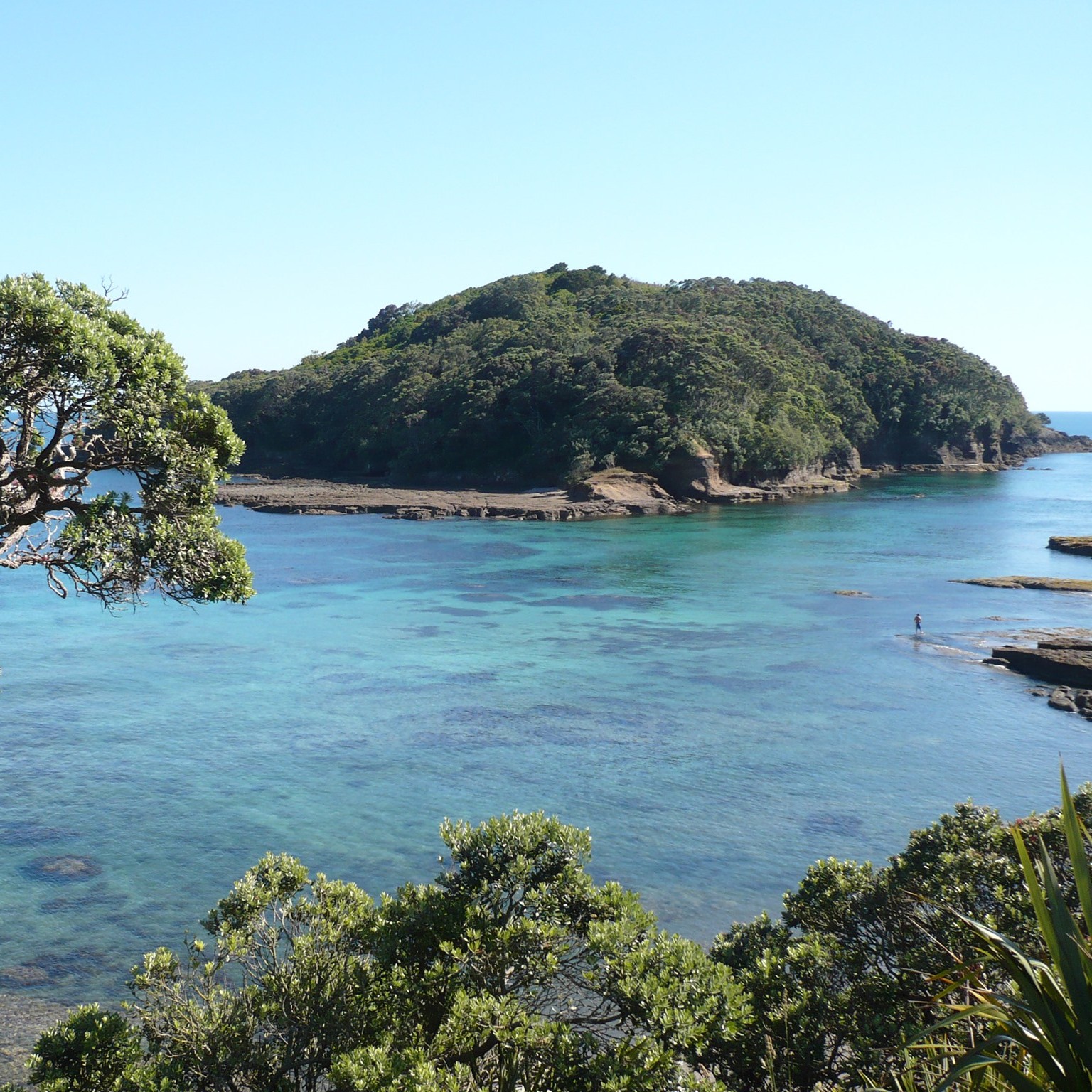 Department - We're so lucky to have 44 marine reserves dotted around ...