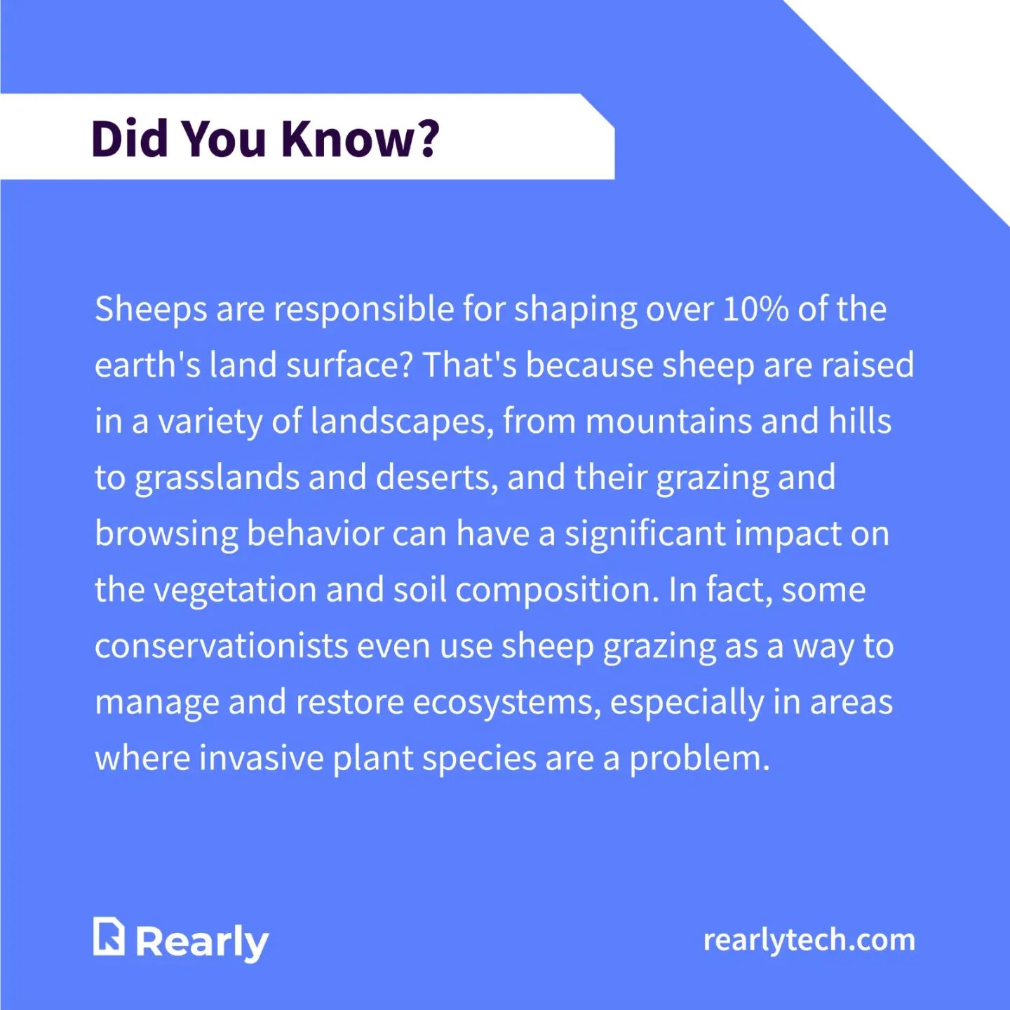 Rearly - sheep are responsible for shaping over 10% of the earth's land ...
