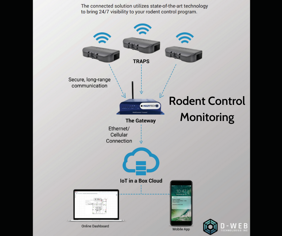 Our smart rodent... - Decentralized Web Technologies, Inc. | Facebook