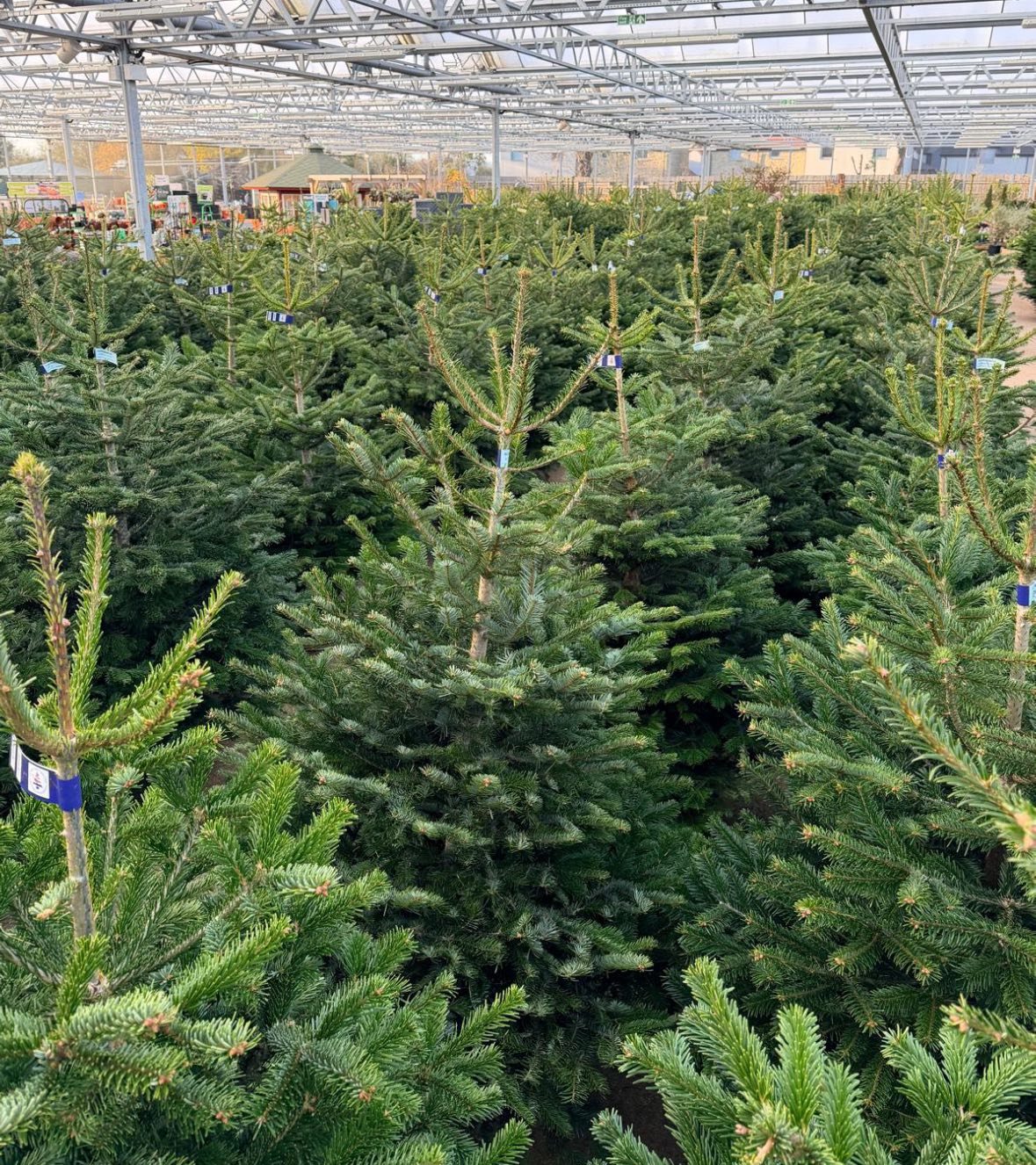Highfield Garden World added a... - Highfield Garden World