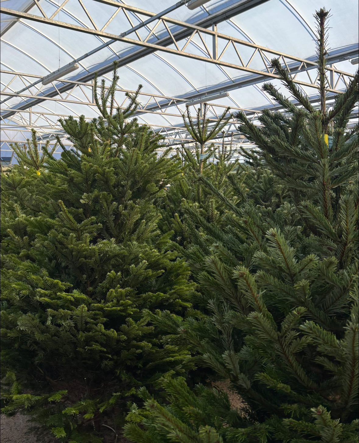 Highfield Garden World added a... - Highfield Garden World