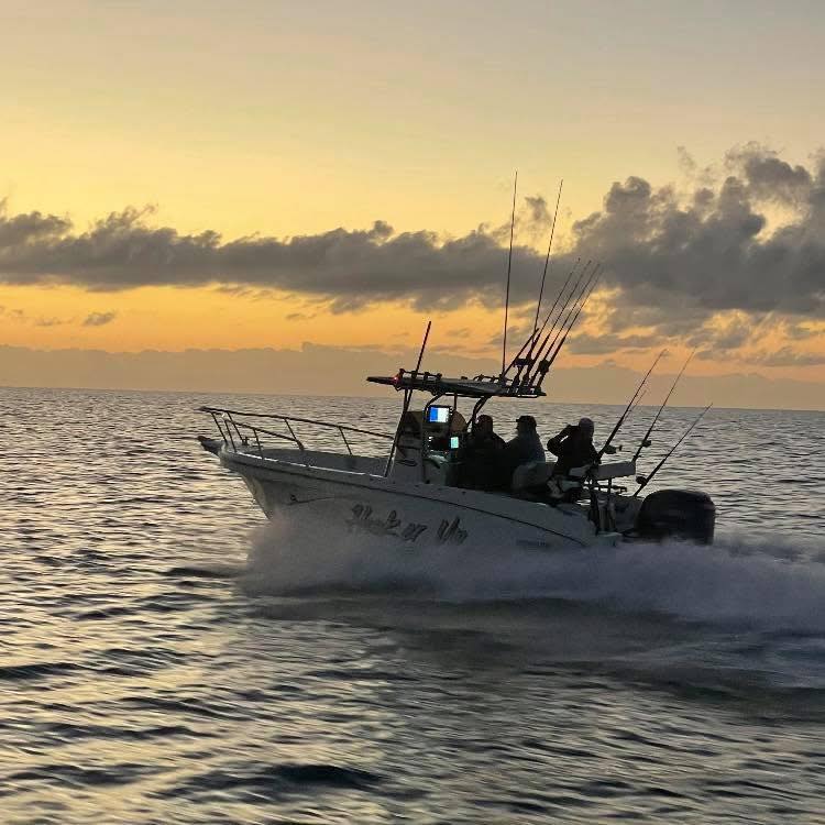 Official Next-Gen Ranger Group Australia | New to the group with a ...