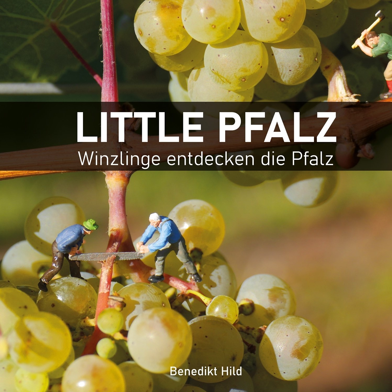 Little Pfalz - Neuerscheinung! 📸 Mein druckfrischer... | Facebook