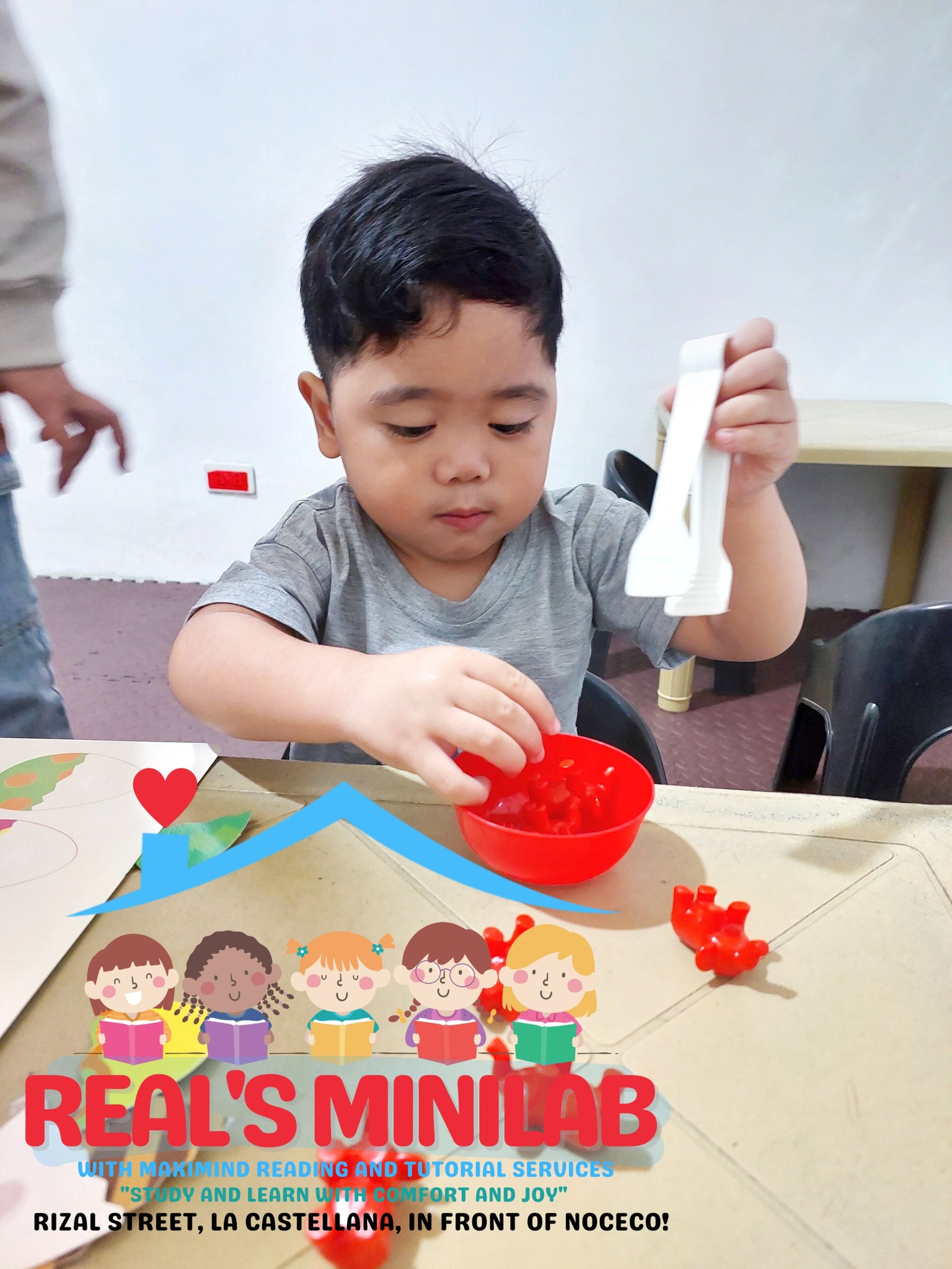 REaL's MiniLab with MaxiMind Reading and Tutorial Services