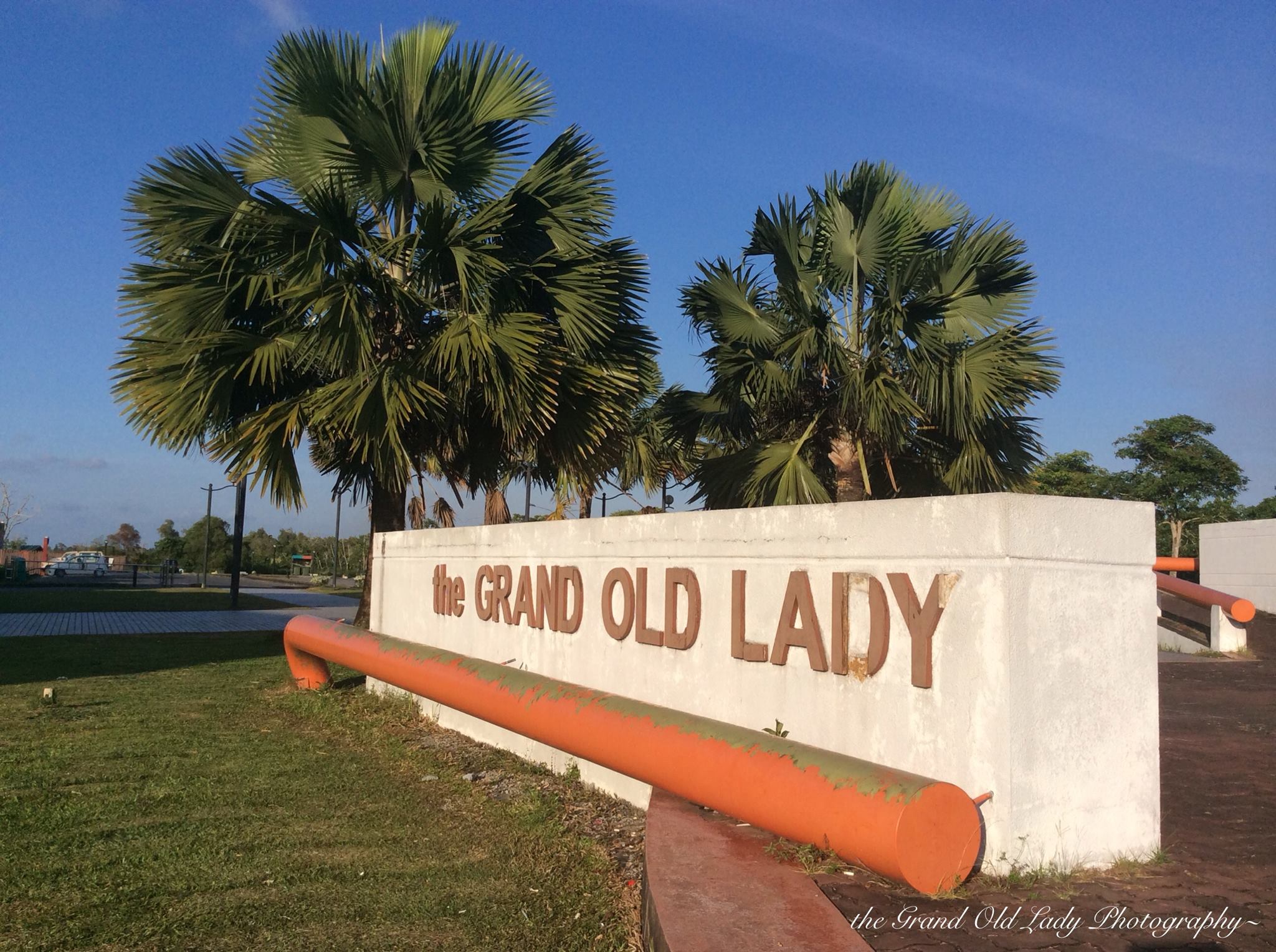 Ladymiri