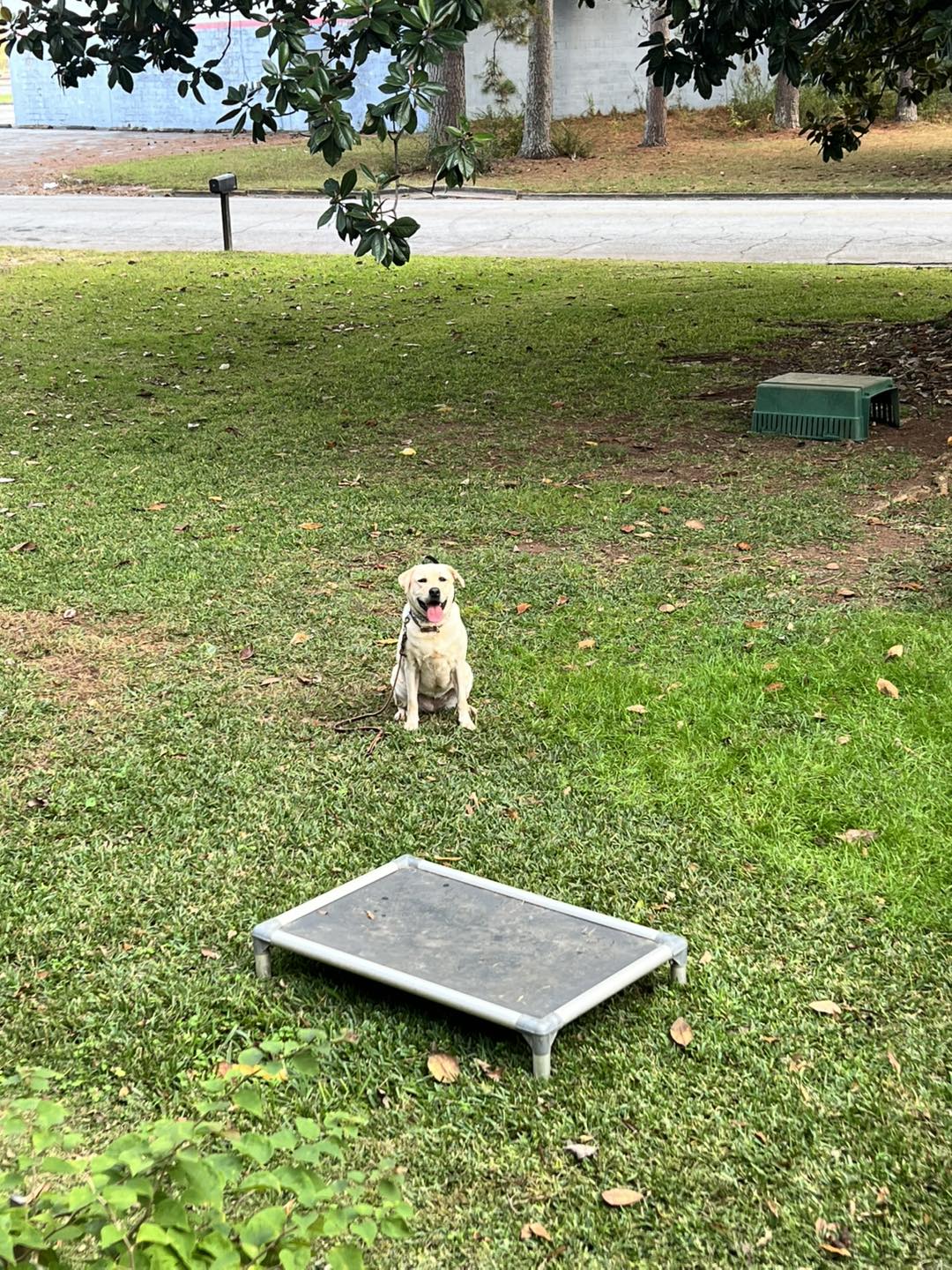 Dynamic K9 Solutions, LLC
