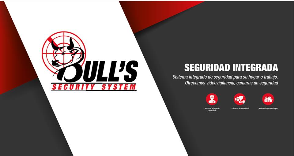 Bull Security System