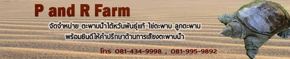 ฟาร์มตะพาบน้ำ P&R Farm | Photharam