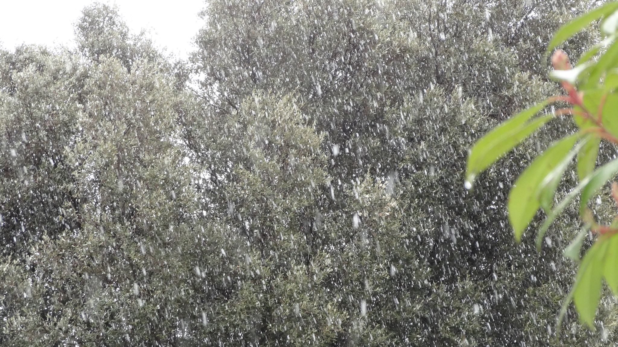 Meteo Nans Les Pins Heure Par Heure