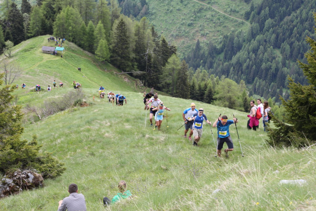 Ski Alp Roncone