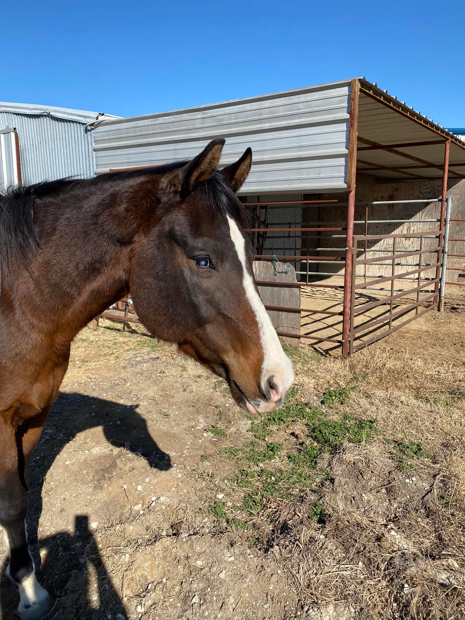 Triple R Horse Ranch