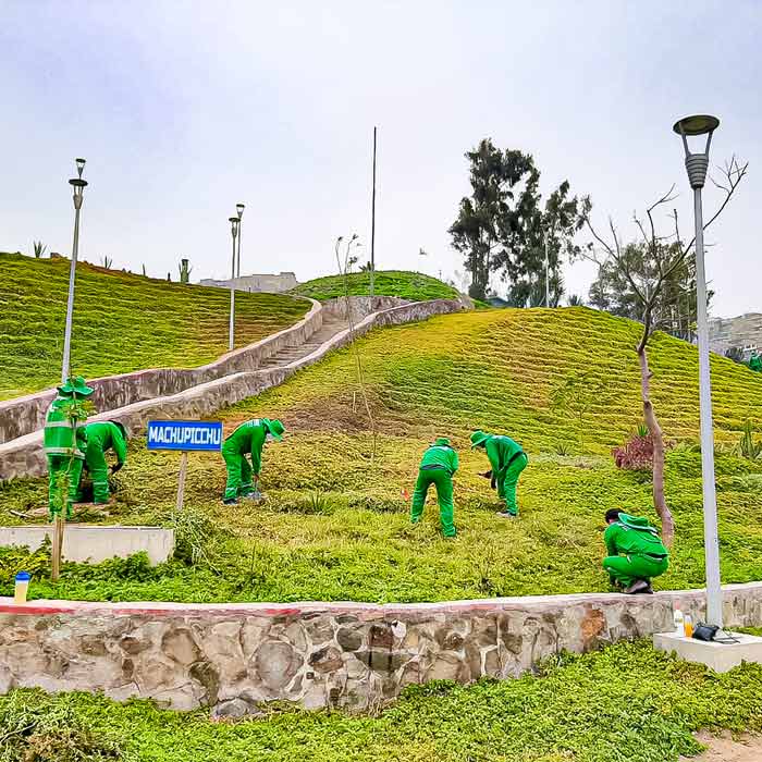 Reverdece Perú- Servicios de... - Construproductos | Facebook