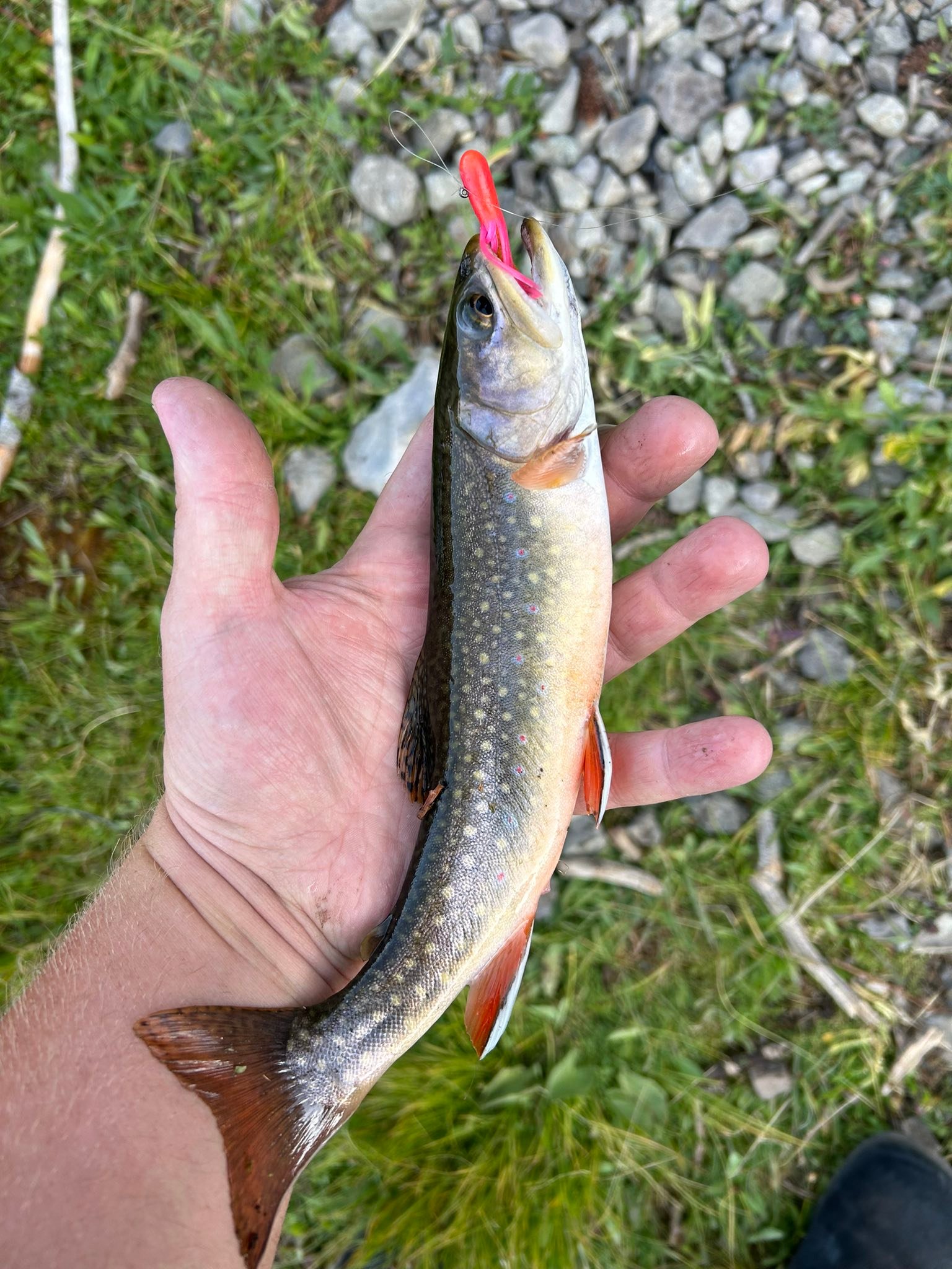 Gorgeous brook trout and views made for an awesome weekend in the