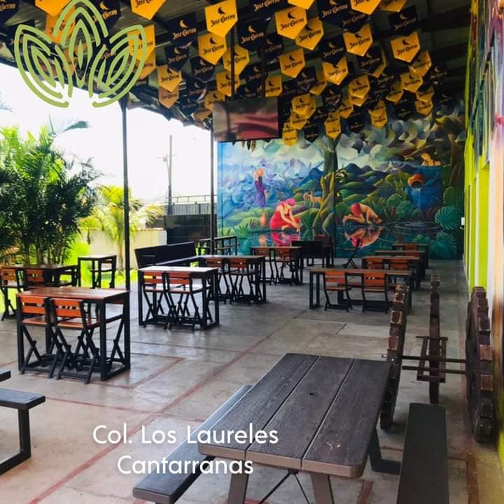 Donde Canta la Rana | Cantarranas