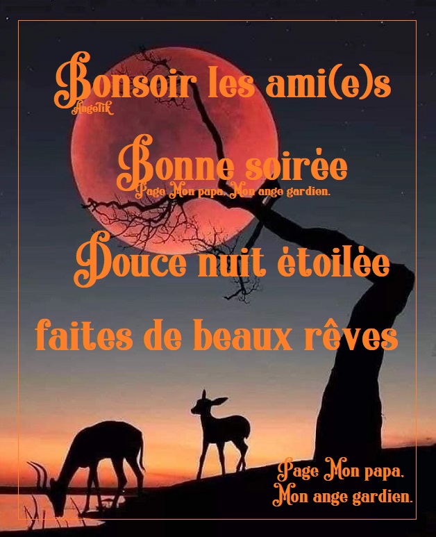 Page Mon Papa Mon Ange Gardien Bonsoir Les Ami E S Bonne Soiree Douce Nuit Etoilee Faites De Beaux Reves Facebook