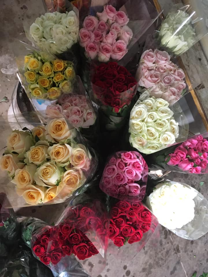 Hilliar Roses | North Boambee Valley NSW
