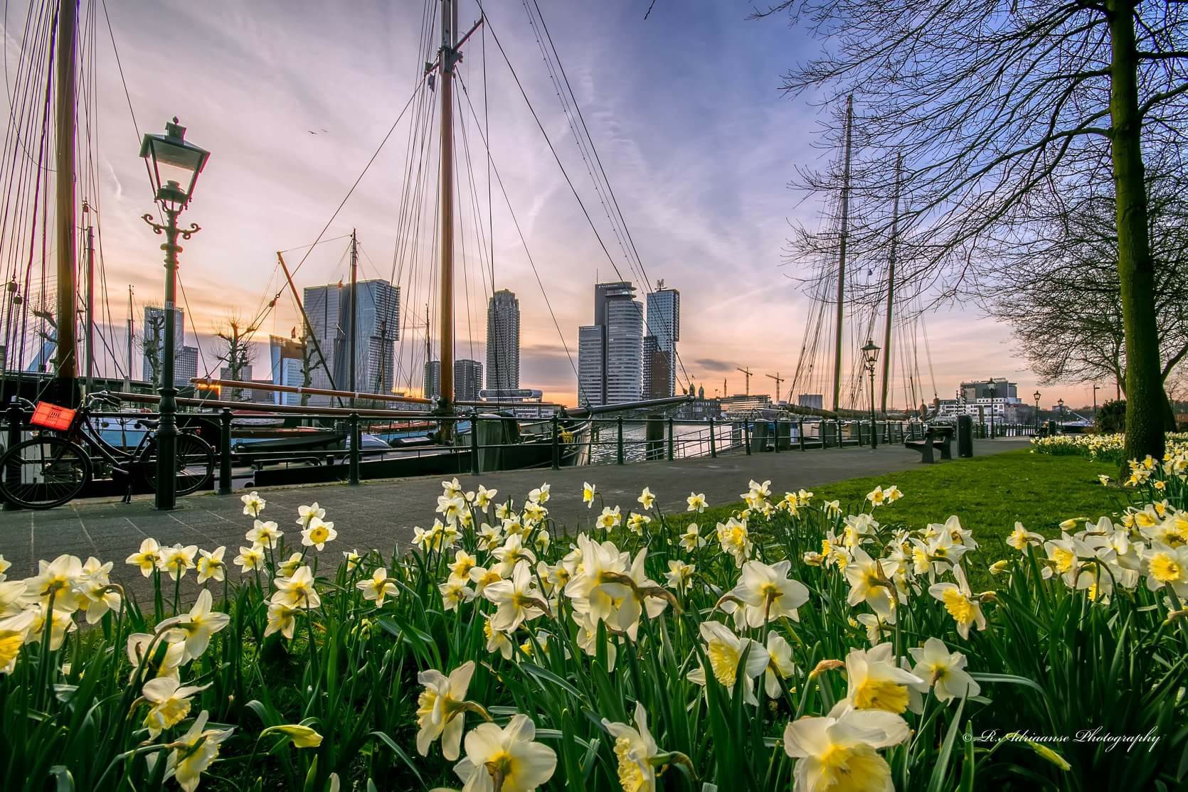 It's finally spring in... - Erasmus University Rotterdam | Facebook