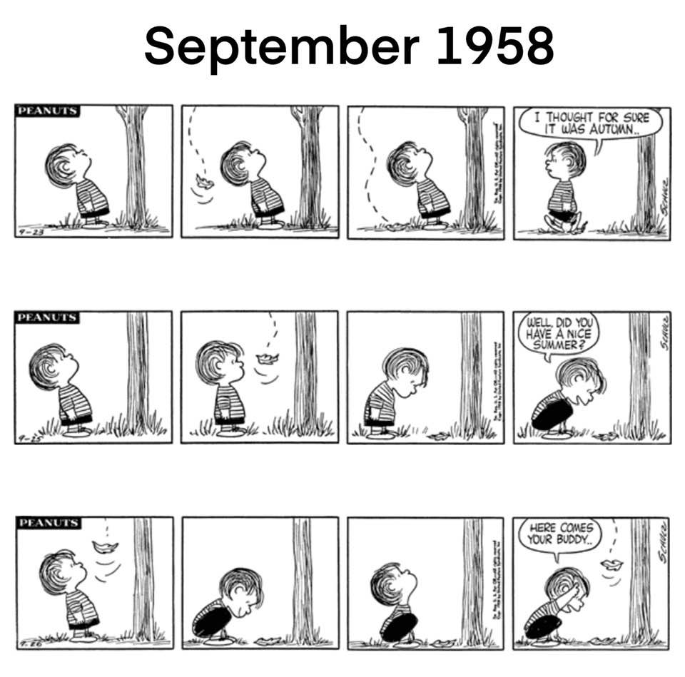 Snoopy Forever | Little Linus talks to leaves | Facebook