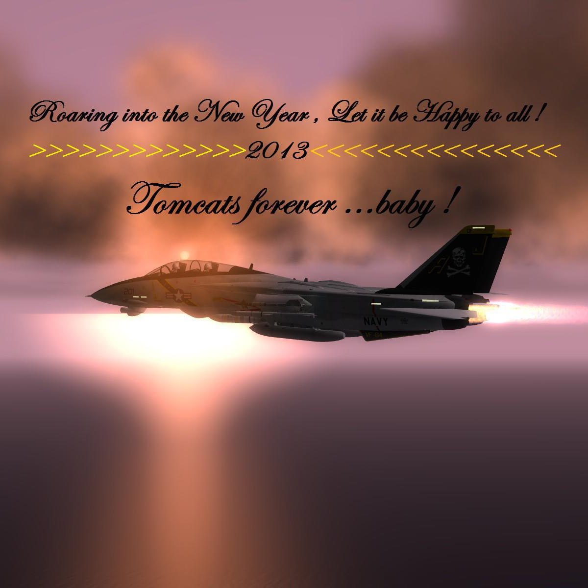 The F-14 Tomcat Group | I was a pilot in VF 24 back in 19 in the 70s ...