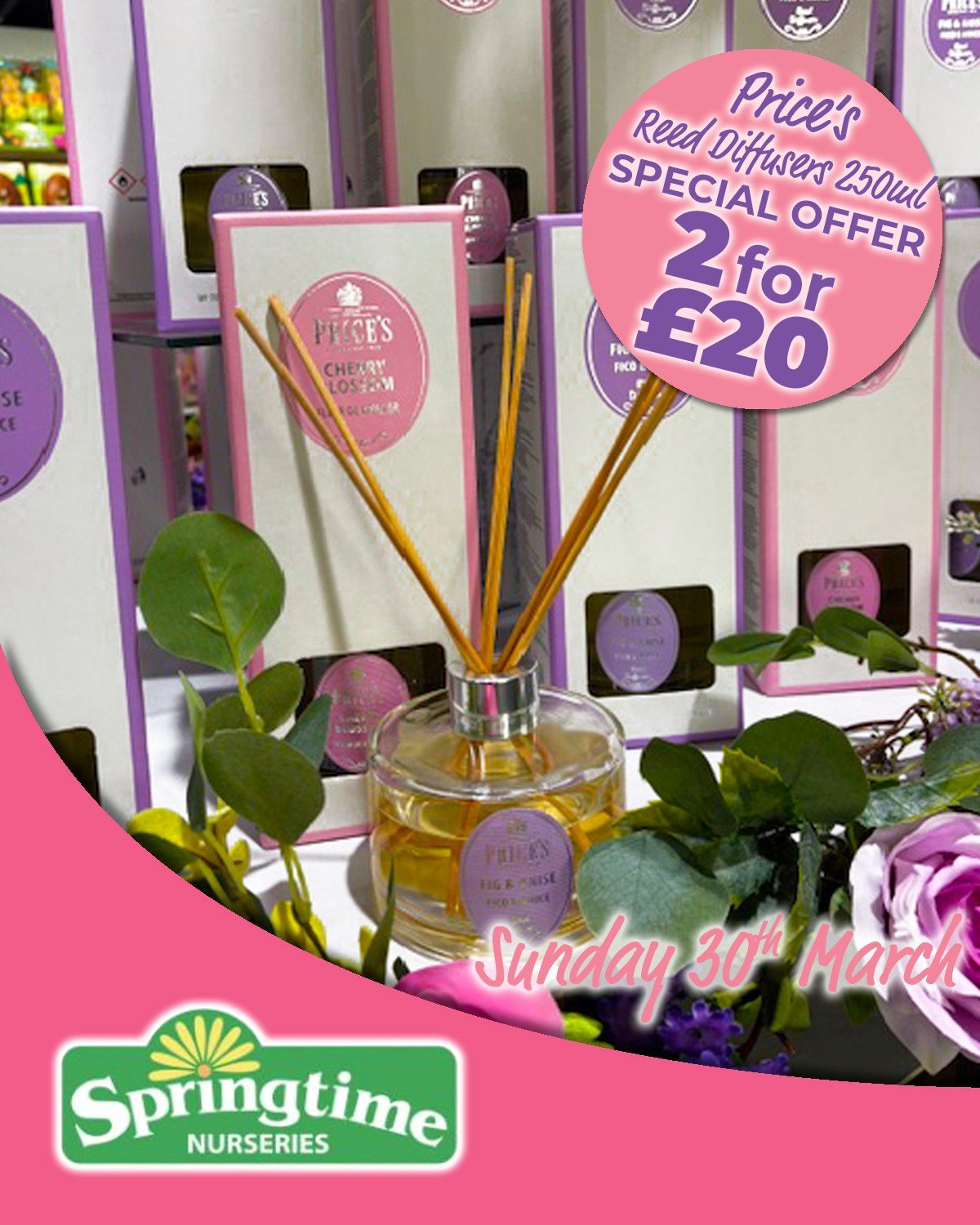 💝 SPECIAL OFFER for... - Springtime Nurseries Crews Hill | Facebook