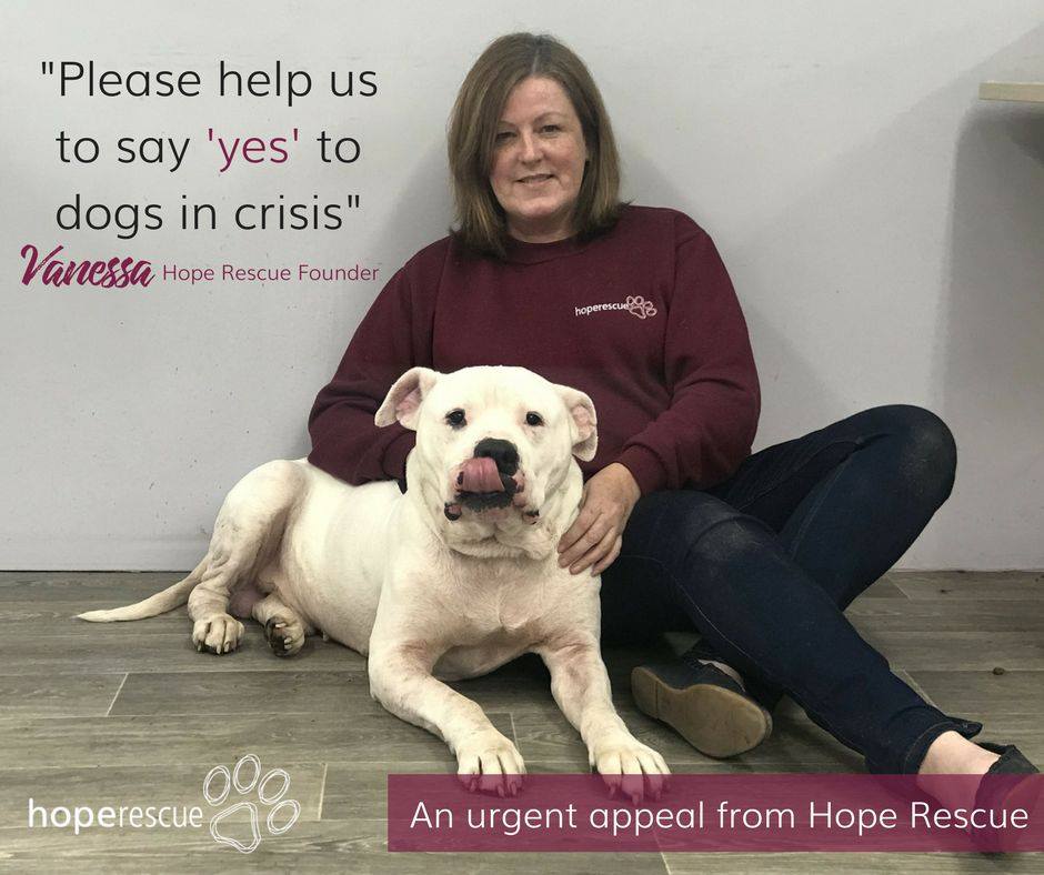 Hope Rescue - A CRISIS APPEAL FROM OUR FOUNDER When we... | Facebook