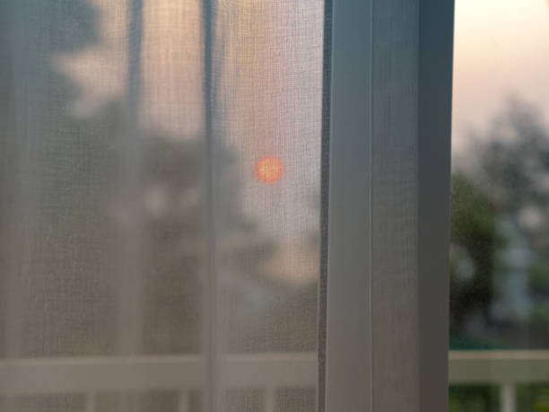 Mobile Window & Solar Screens
