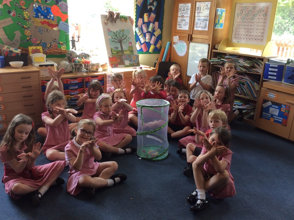 Class 2 have really enjoyed... - Orleton Primary School | Facebook
