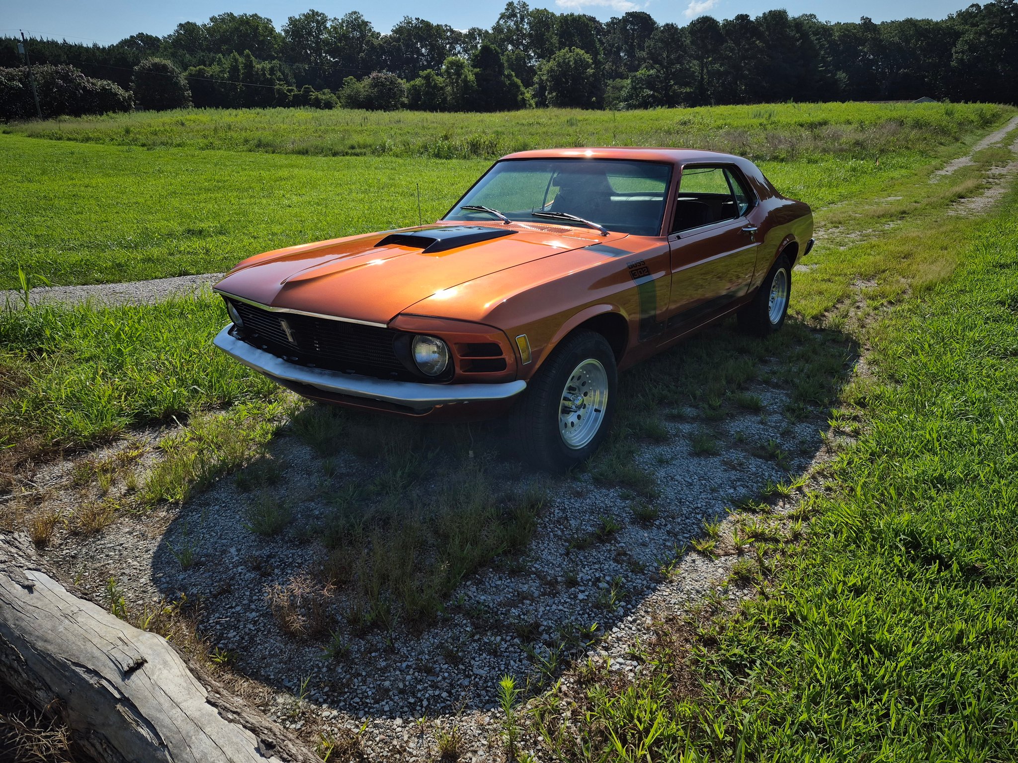 1970 Ford Mustangs Facebook