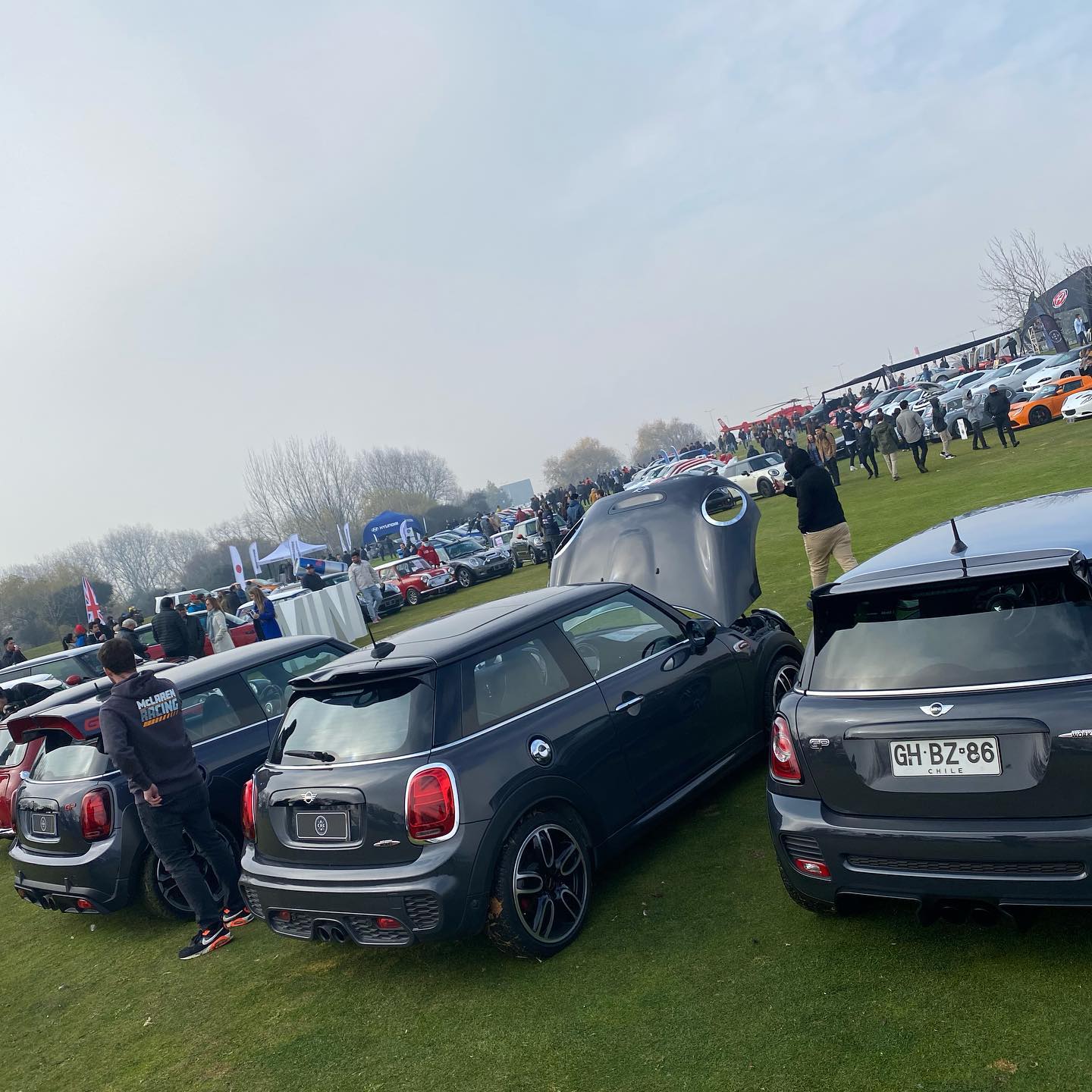 Not Normal Chile - MINI Cooper